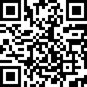 Google Form (English)